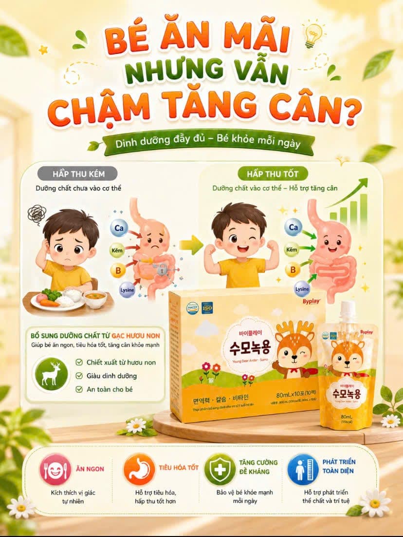 Gạc Hươu Non Sumo — chiết xuất nhung hươu